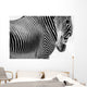 Zebras Wall Mural