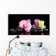 Spa stones with orchid flower and candles isolated on black Wall Mural