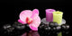Spa stones with orchid flower and candles isolated on black Wall Mural