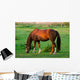 Grasendes Pferd 1