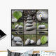 Planche Galet Relaxation
