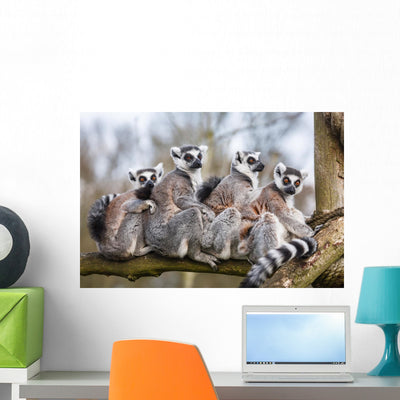 Lemur Family shown on a wall