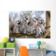 Lemur Family