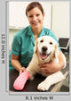 Female Veterinary Surgeon Treating