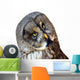 Great Owl Wall Decal