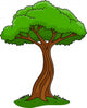 Illustration Tree White Wall Decal