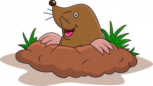 Happy mole cartoon Wall Decal