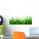 Grass