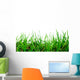 Grass