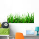 Grass