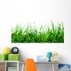 Grass