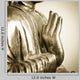 Buddha Hand