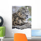 Snow Leopard Wall Mural