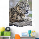 Snow Leopard Wall Mural