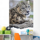 Snow Leopard Wall Mural