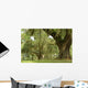 Live Oaks and Spanish Moss 1 Wall Mural