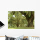 Live Oaks and Spanish Moss 1 Wall Mural