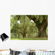 Live Oaks and Spanish Moss 1 Wall Mural