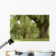 Live Oaks and Spanish Moss 1 Wall Mural