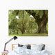 Live Oaks and Spanish Moss 1 Wall Mural