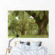 Live Oaks and Spanish Moss 1 Wall Mural