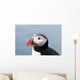 Cute Puffin Bird up Wall Mural