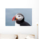 Cute Puffin Bird up Wall Mural