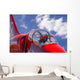 Jet Wall Mural