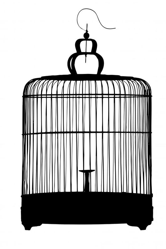 Silhouette Birdcage