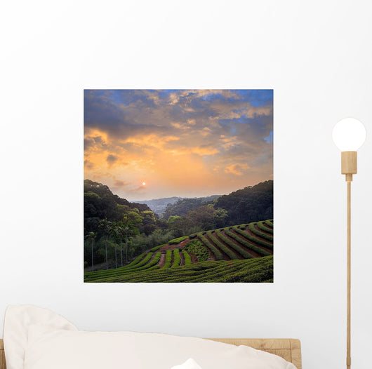 Countryside Dawn Wall Decal