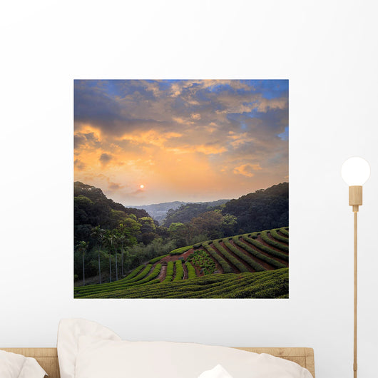 Countryside Dawn Wall Decal