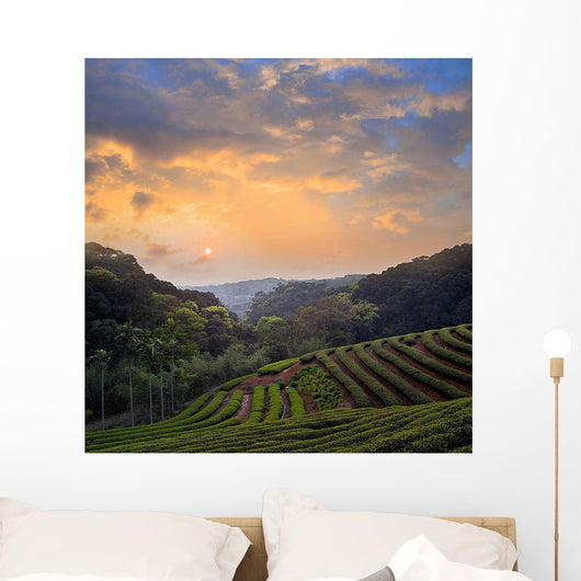 Countryside Dawn Wall Decal