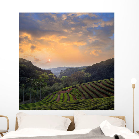 Countryside Dawn Wall Decal