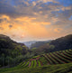 Countryside Dawn Wall Decal