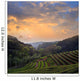 Countryside Dawn Wall Decal