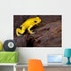 Poison Frog