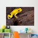Poison Frog