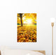 Sunny Autumn Foliage