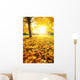 Sunny Autumn Foliage