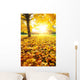 Sunny Autumn Foliage