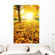 Sunny Autumn Foliage