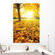 Sunny Autumn Foliage