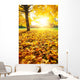 Sunny Autumn Foliage