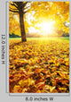 Sunny Autumn Foliage