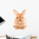 Fuzzy Rabbit Wall Decal