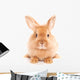 Fuzzy Rabbit Wall Decal