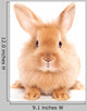 Fuzzy Rabbit Wall Decal