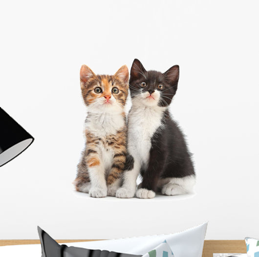 Two Kitten Sitting Wall Decal