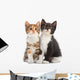Two Kitten Sitting Wall Decal