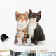 Two Kitten Sitting Wall Decal